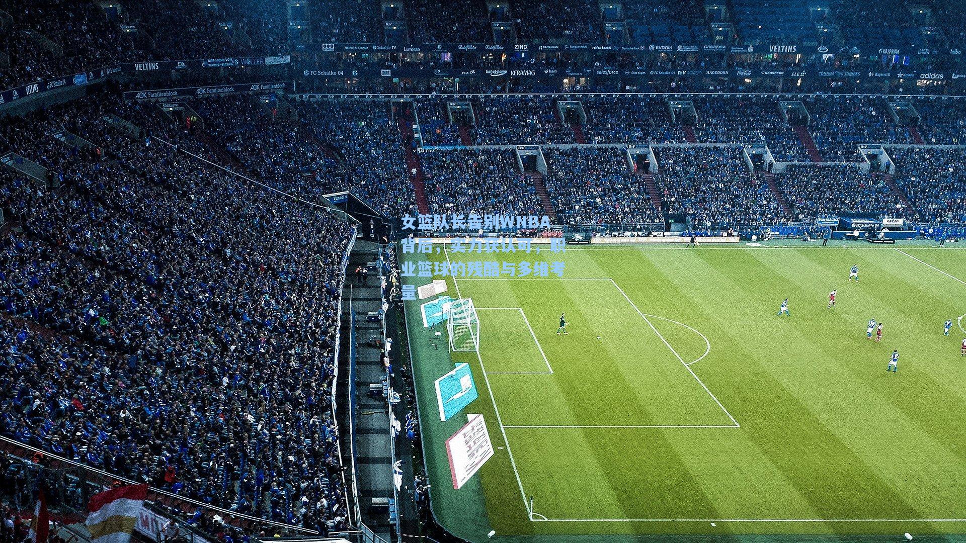 女篮队长告别WNBA背后，实力获认可，职业篮球的残酷与多维考量