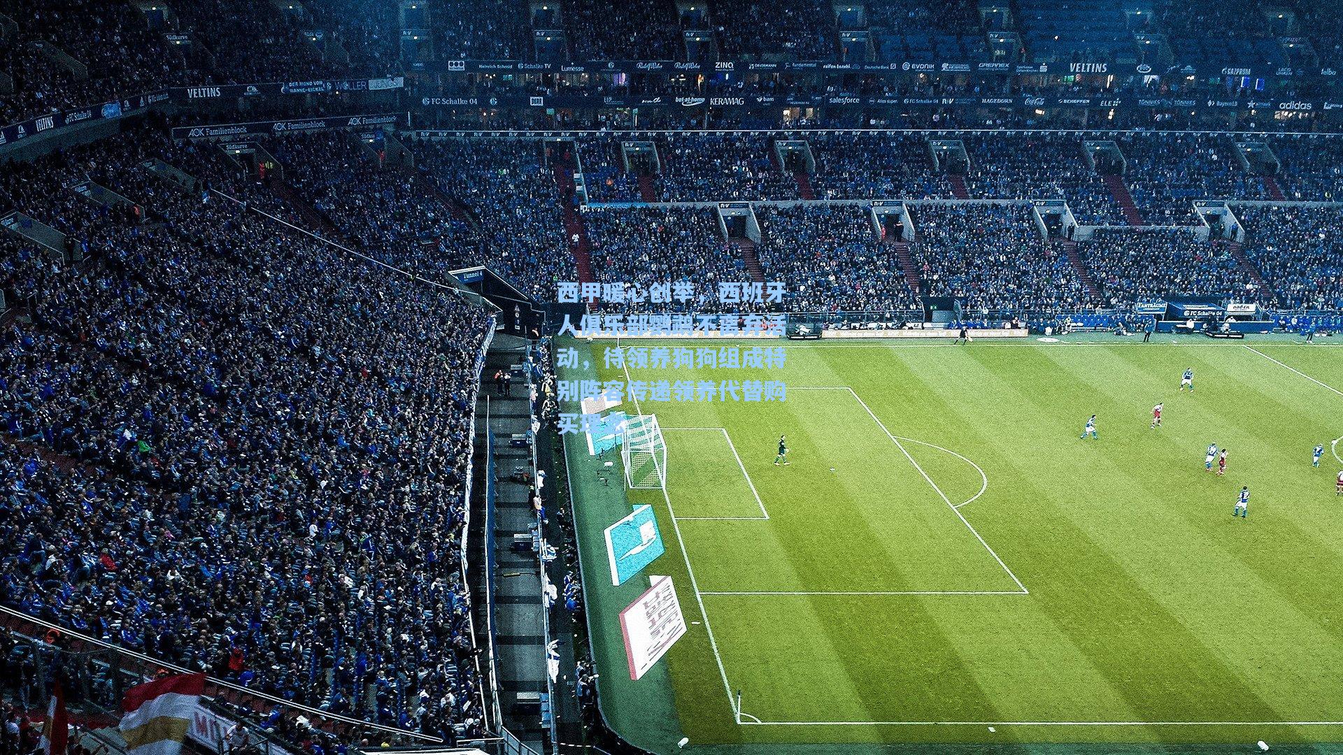 西甲暖心创举，西班牙人俱乐部鹦鹉不离弃活动，待领养狗狗组成特别阵容传递领养代替购买理念